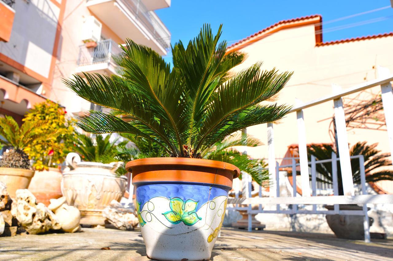 B&B Le Cycas Castellammare di Stabia Εξωτερικό φωτογραφία