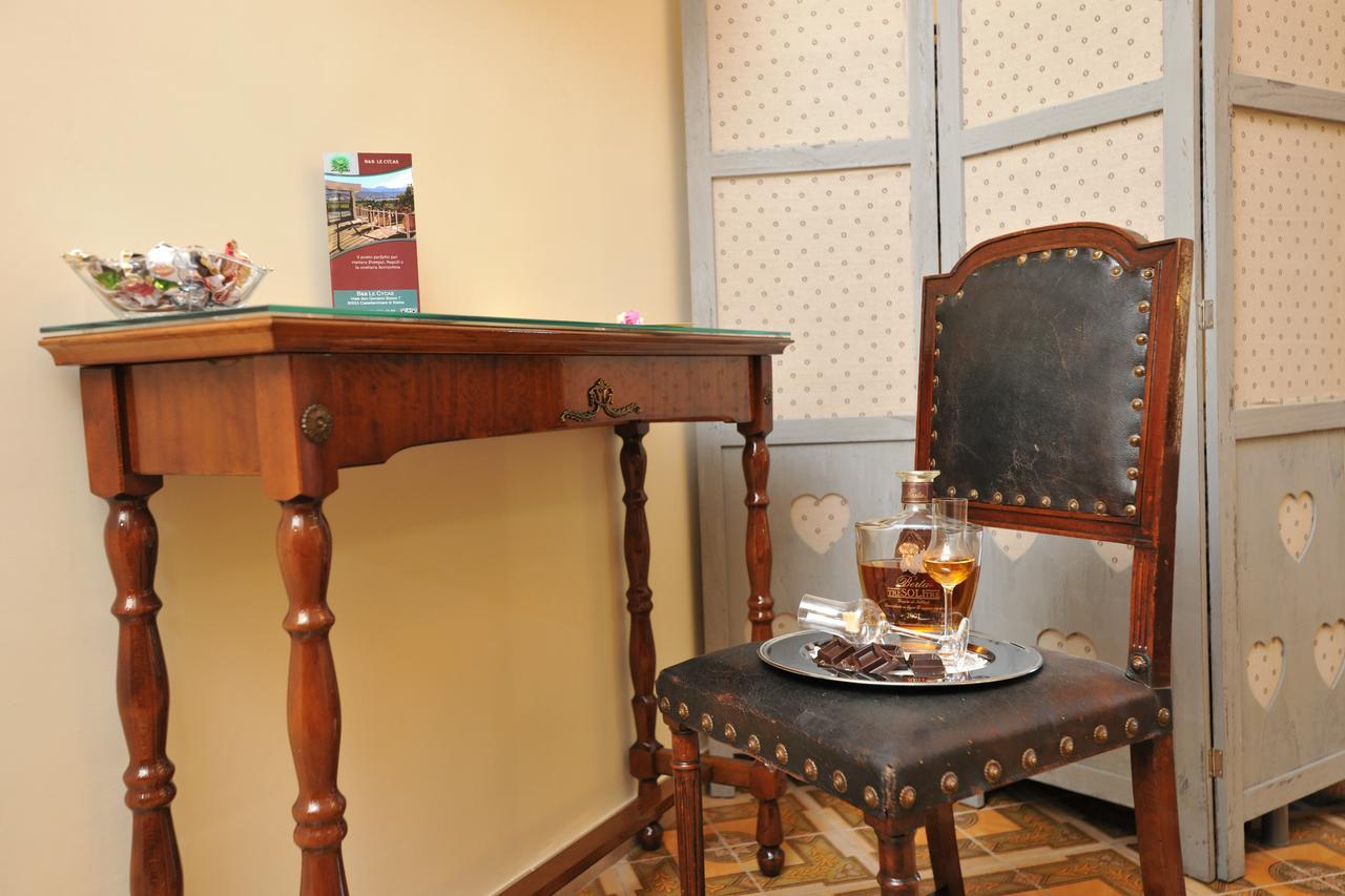 B&B Le Cycas Castellammare di Stabia Εξωτερικό φωτογραφία