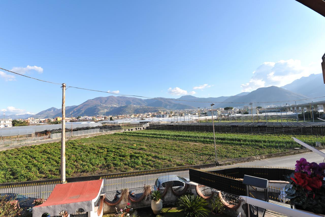 B&B Le Cycas Castellammare di Stabia Εξωτερικό φωτογραφία