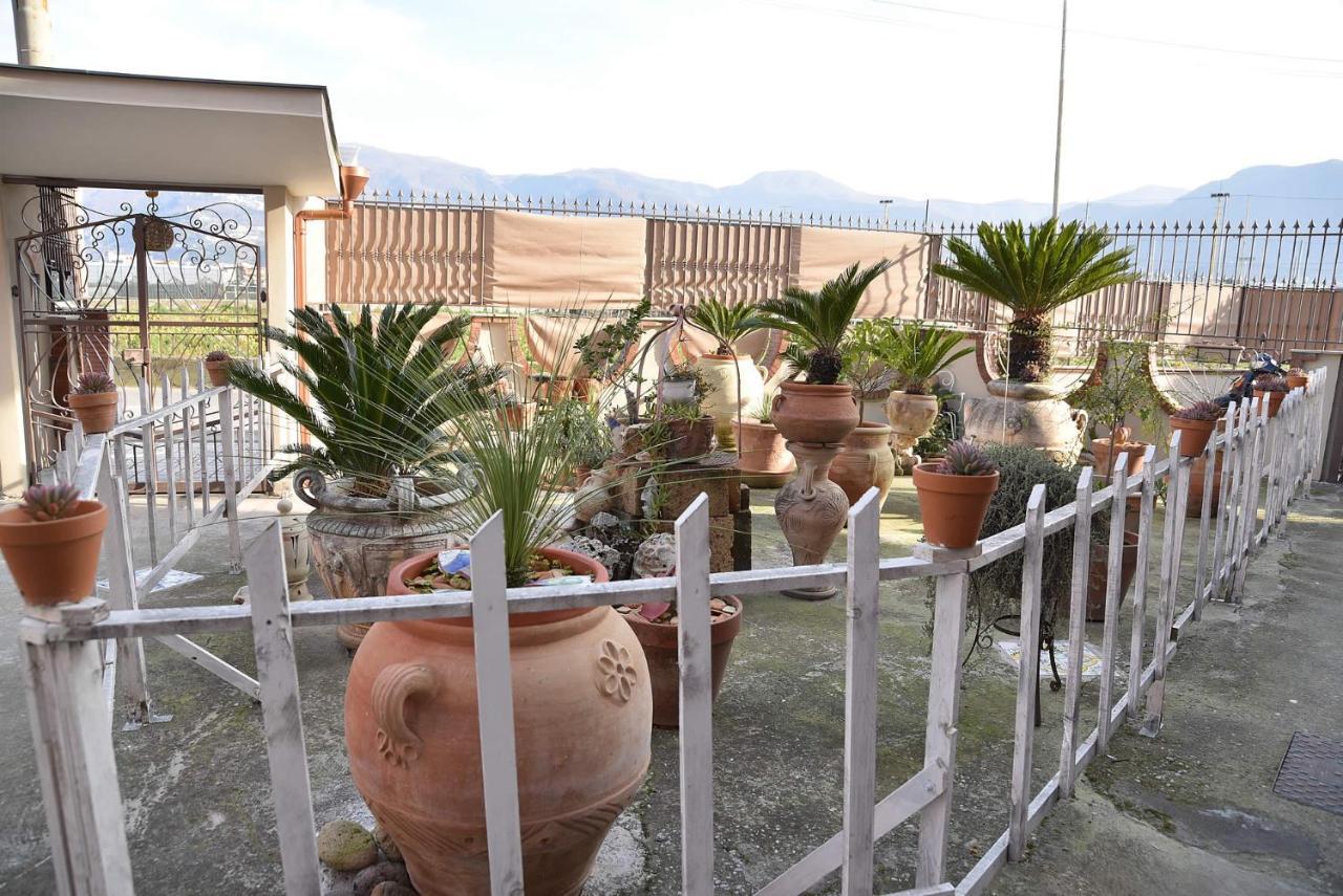 B&B Le Cycas Castellammare di Stabia Εξωτερικό φωτογραφία