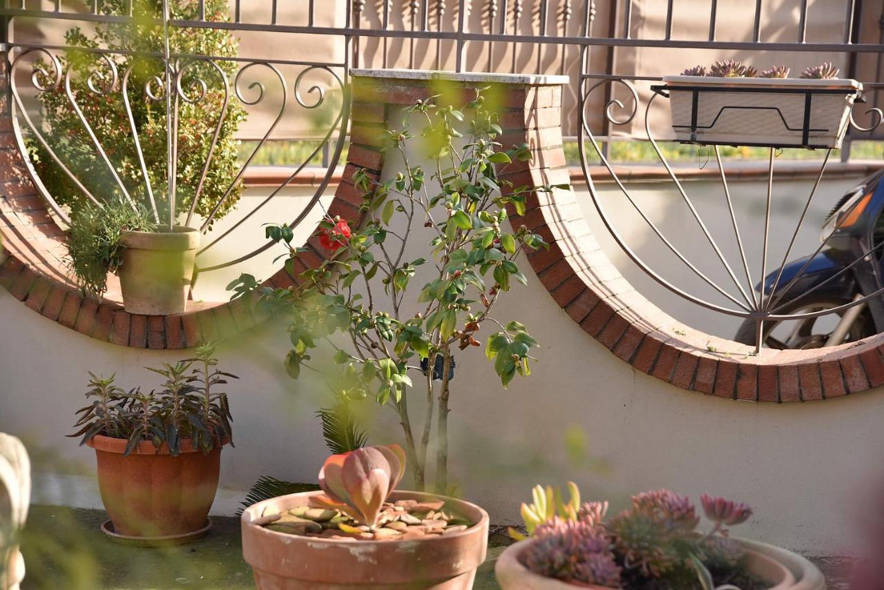 B&B Le Cycas Castellammare di Stabia Εξωτερικό φωτογραφία